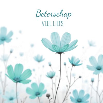 Luckz | Beterschapskaart | Stijlvolle beterschap kaart bloemen 