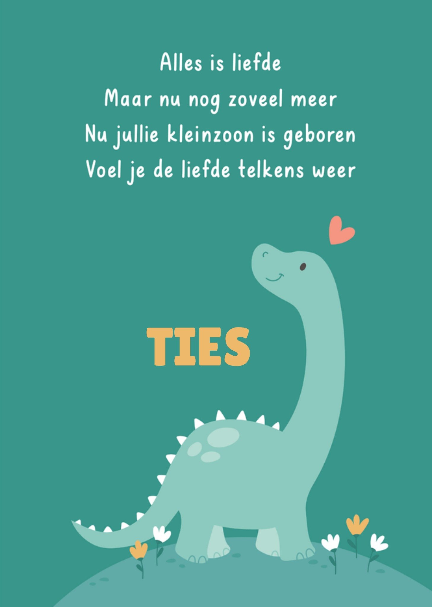 Geboortekaart Dino Kaart Kleine Twinkeltjes