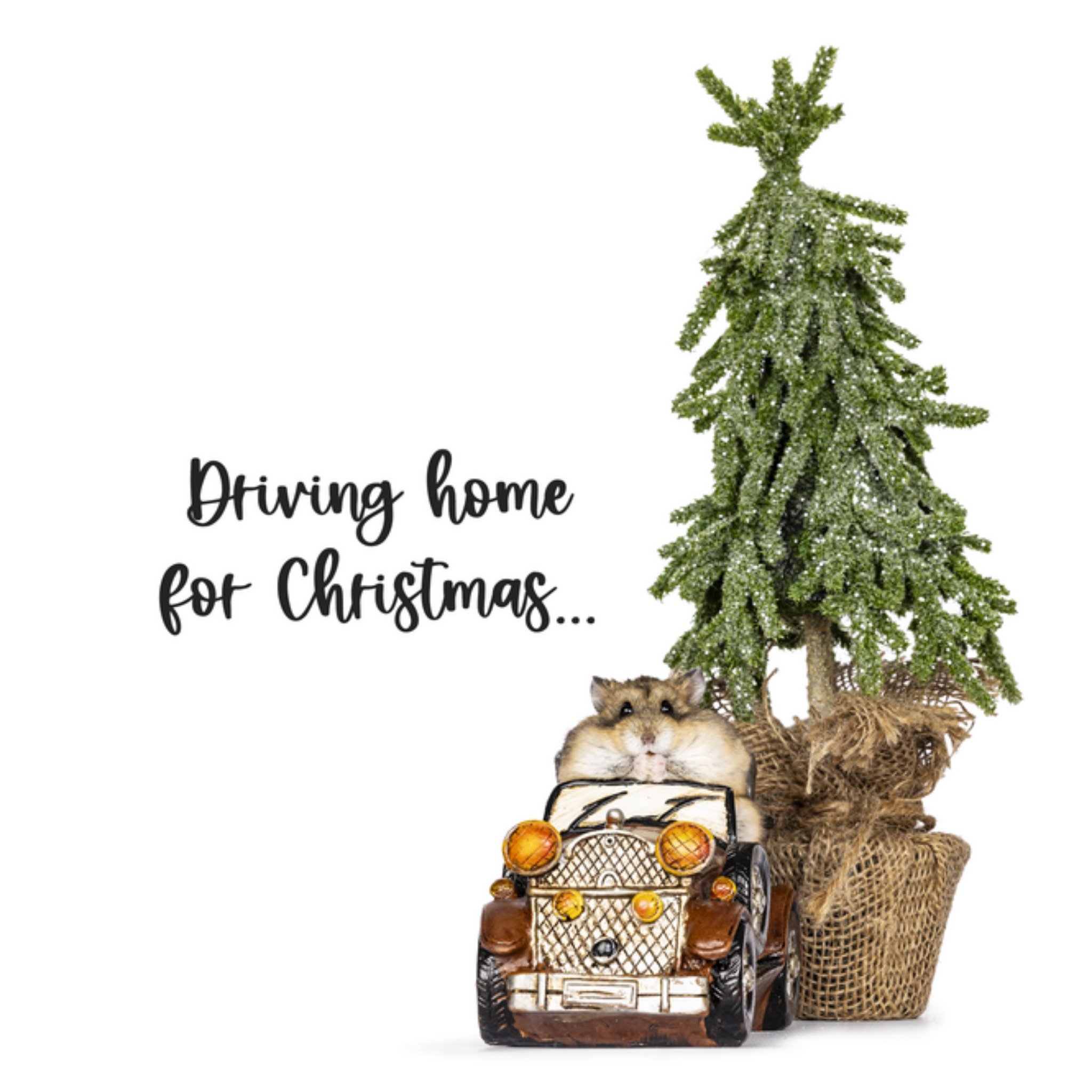 Kerstkaart Driving home for Christmas Catchy Images