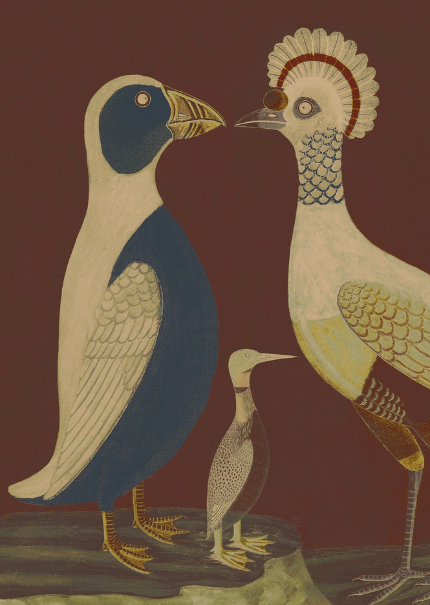 Verjaardagskaart Pinguin Kaart NIN-NIT