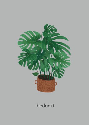 De Merkwaardige Studio | Bedankt kaart | Monstera