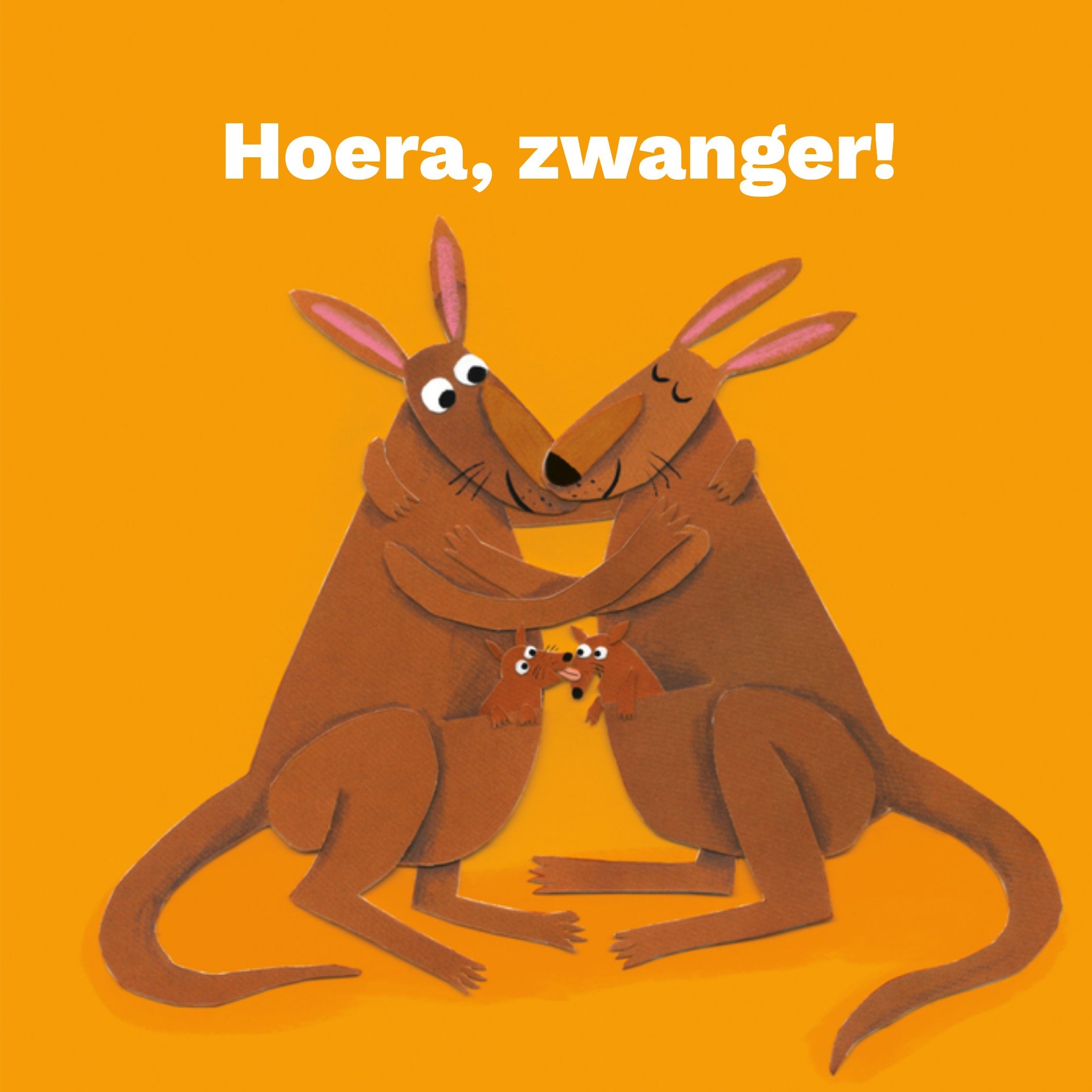 Zwangerschapskaart Kangoeroe Vierkante Kaart Loes Riphagen