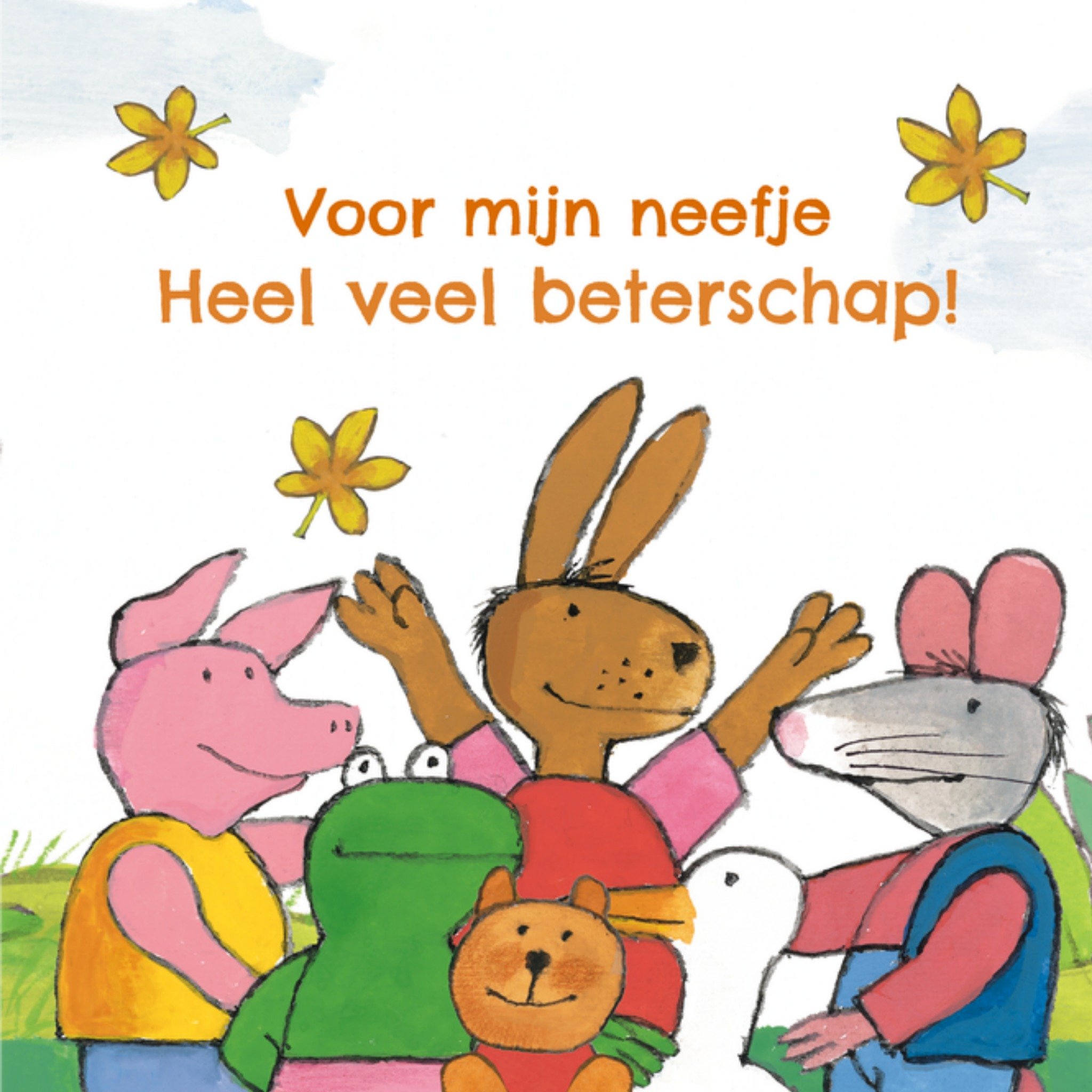 Beterschapskaart Voor mijn neefje Vierkante Kaart Kikker