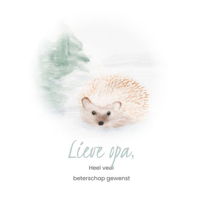 Lieve Opa Aquarel Egel Beterschap Kaart