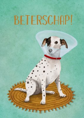 Petit Konijn | Beterschapskaart | Hond