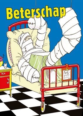 TMS | Beterschapskaart | Illustratie gebroken in bed