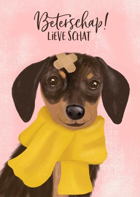 Tsjip | Beterschapskaart | Lieve schat