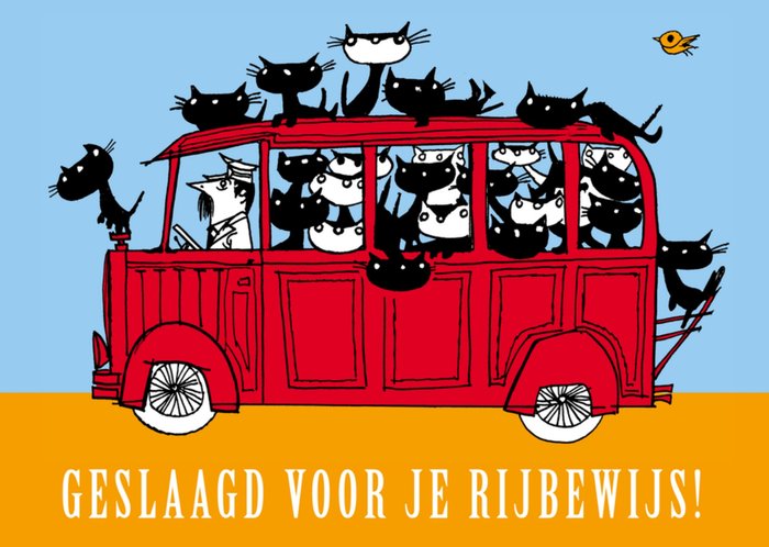 Fiep Westendorp | Geslaagd kaart | rijbewijs