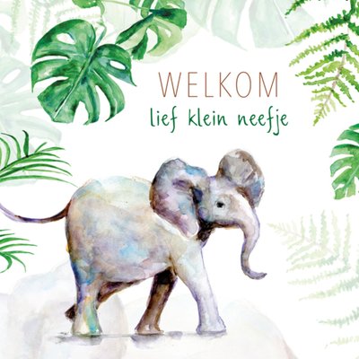 Michelle Dujardin | Geboortekaart | olifant | neef