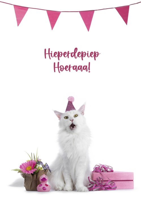 Catchy Images | Verjaardagskaart | Kat | slingers