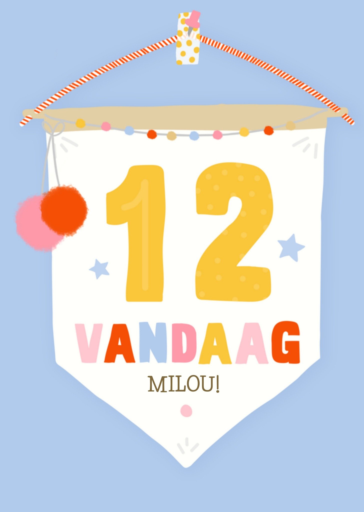 Greetz Verjaardag 12 Vlag Standard Card