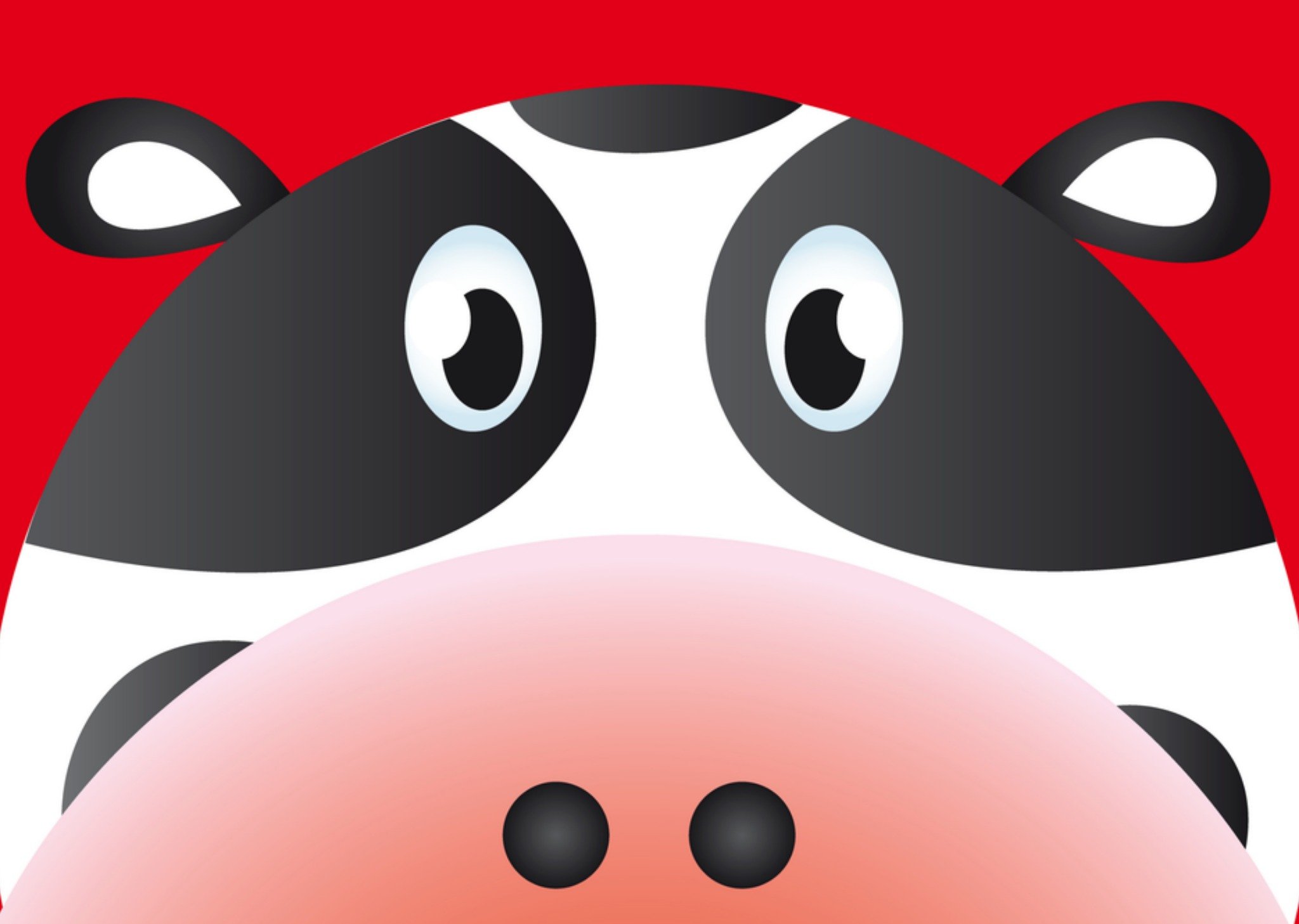 Koe in close up Kaart Greetz