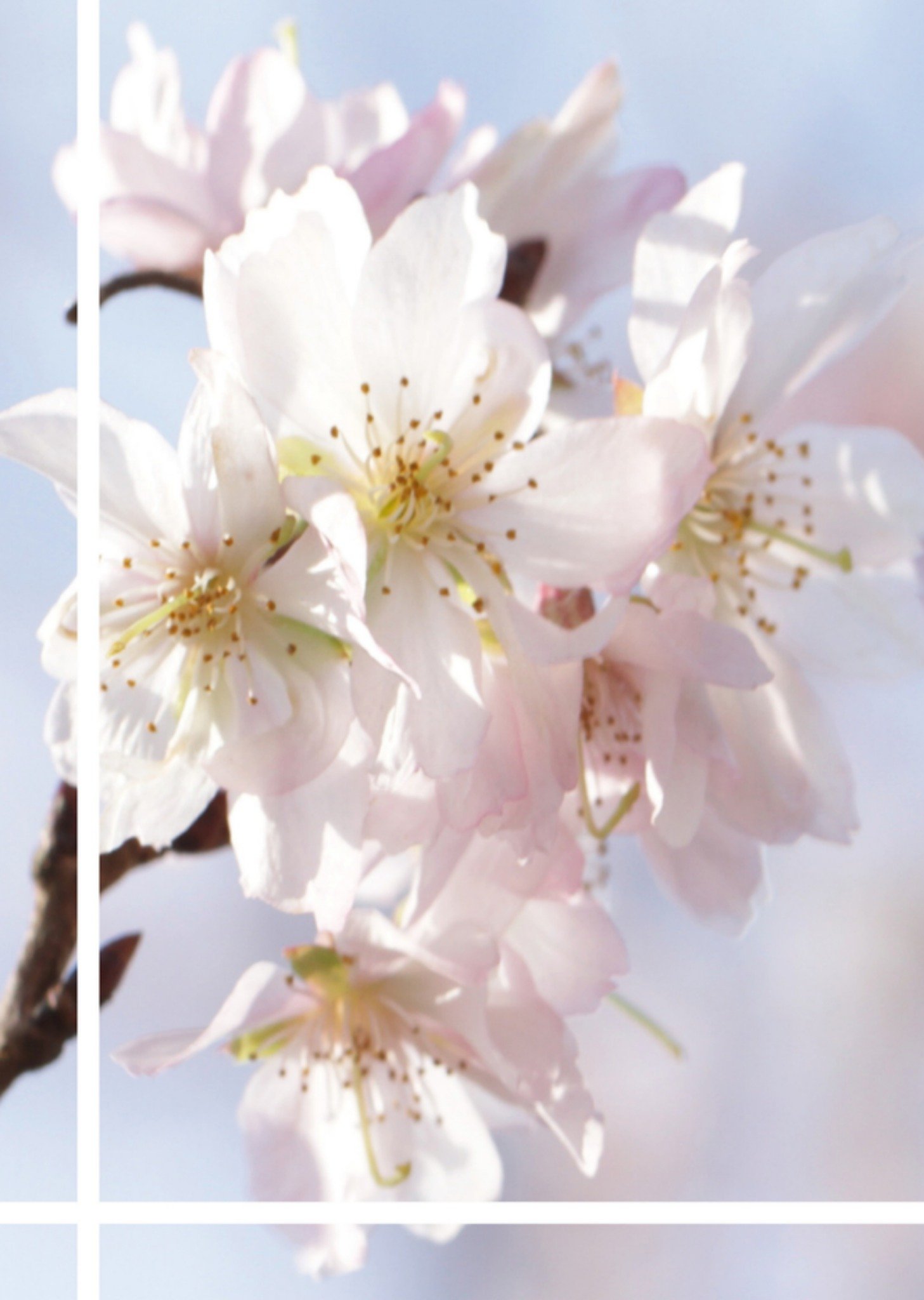 Staande fotokaart met witte lijnen Kaart Greetz