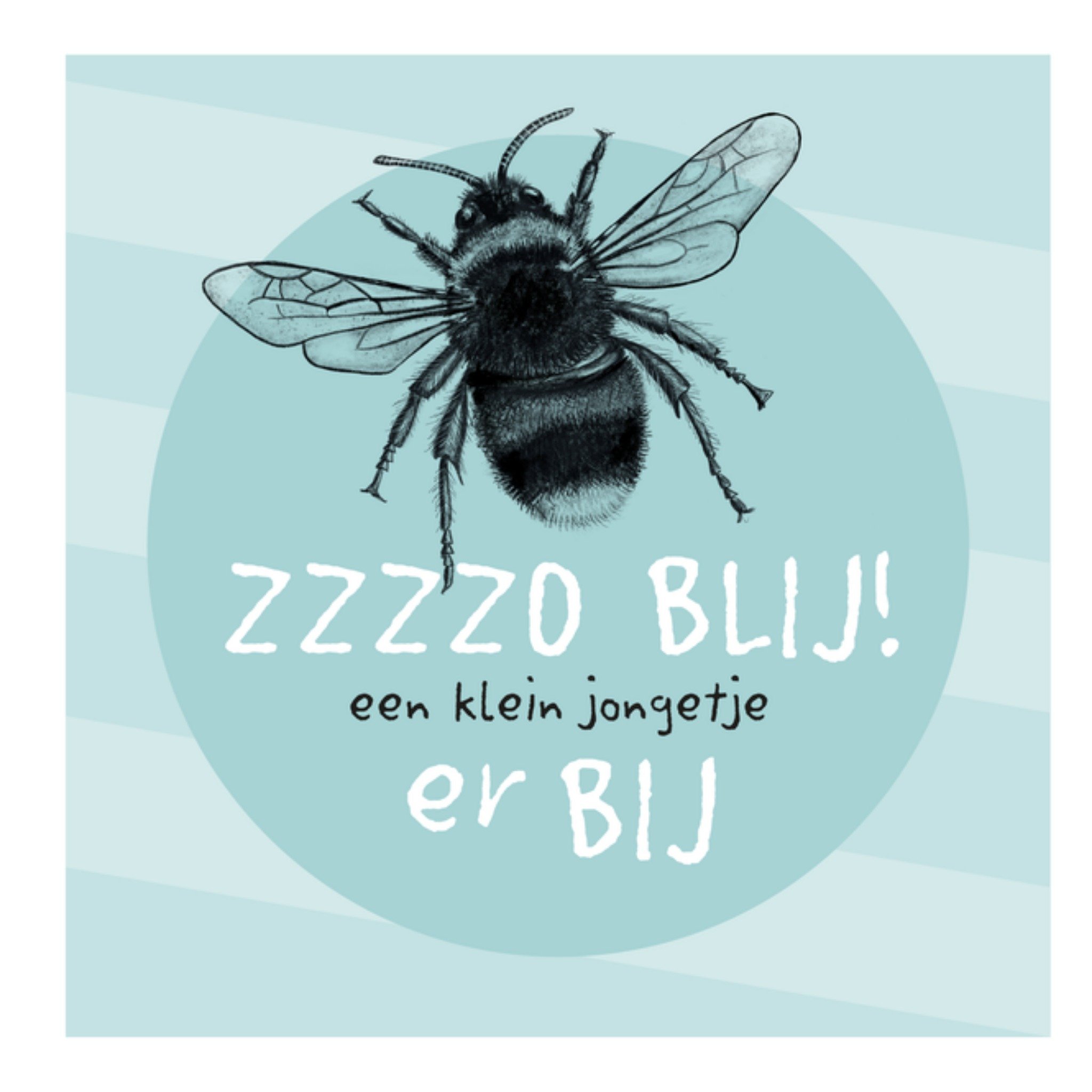 Greetz Geboortekaart bijtje jongetje Vierkant