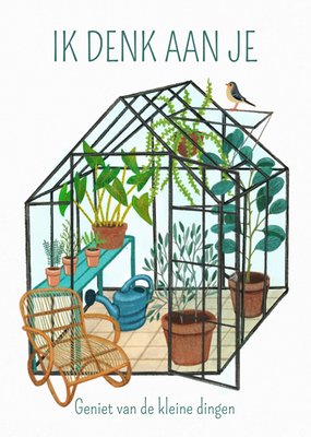 Petit Konijn | Denken aan kaart | plantenkas