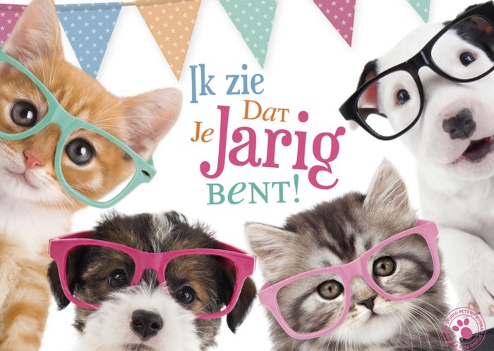 Verjaardagskaart | Studio Pets | Dieren