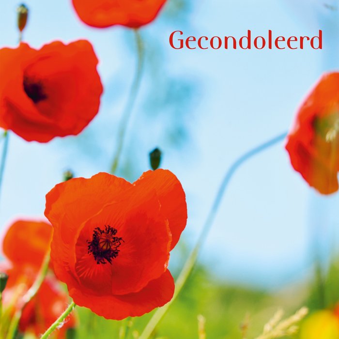 TMS | Condoleance | Bloemen | Neutraal