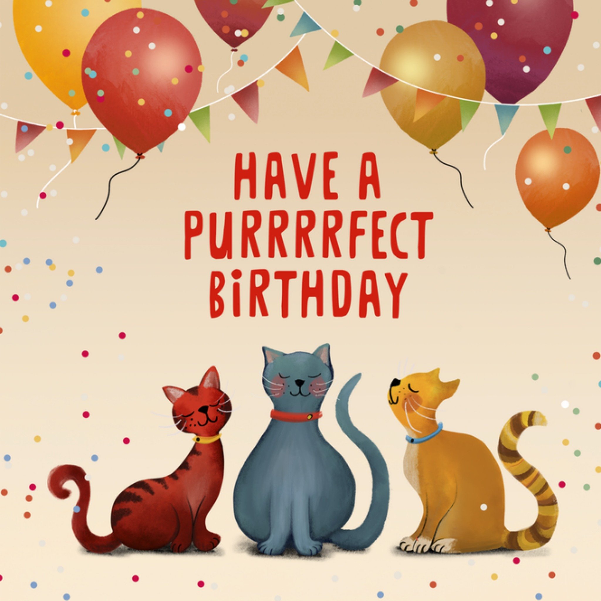 Patricia Hooning Verjaardagskaart Katjes Purrrrfect birthday Vierkante Kaart Fishuals