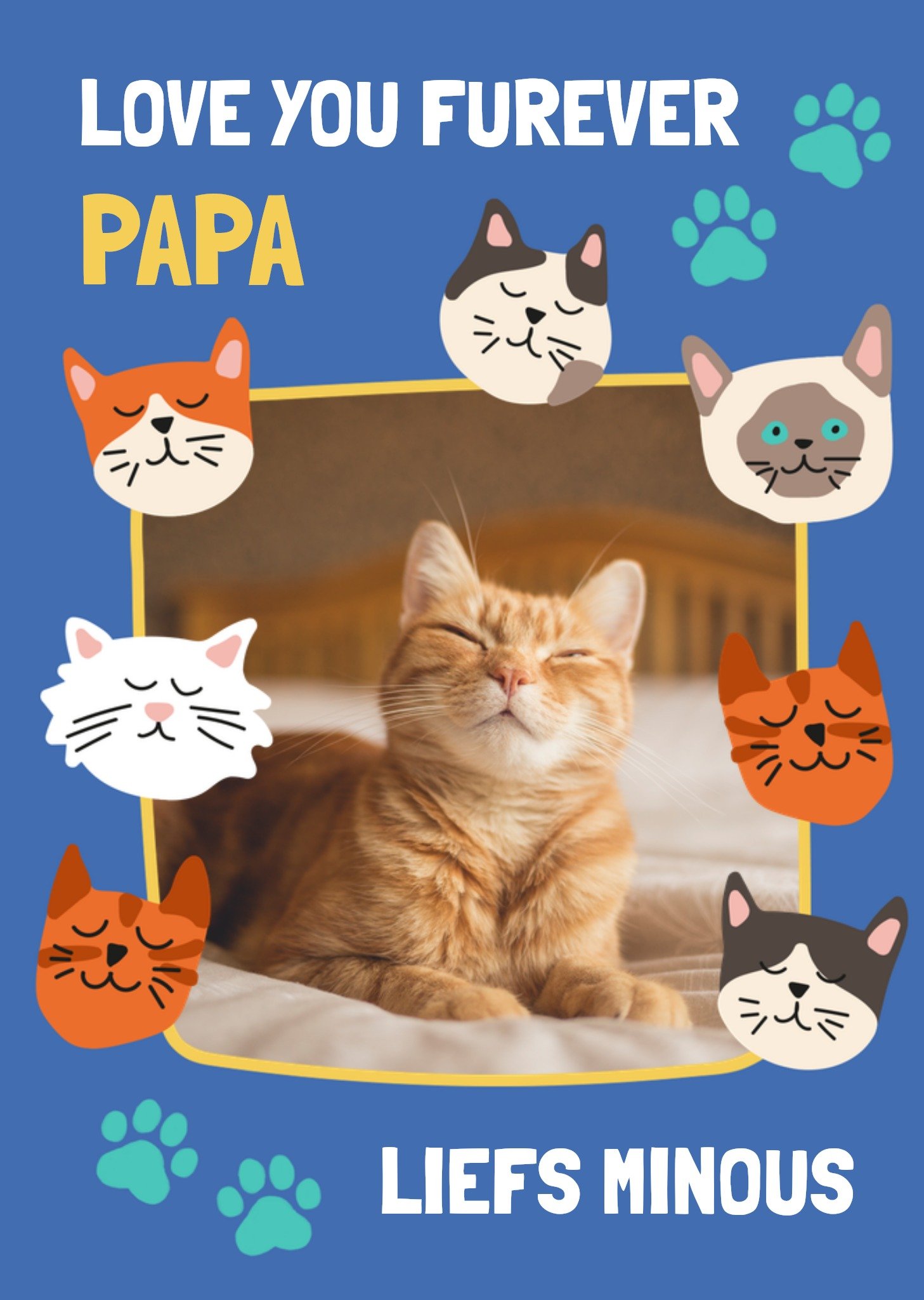 Vaderdagkaart Love You Furever Cat Papa Kaart Greetz