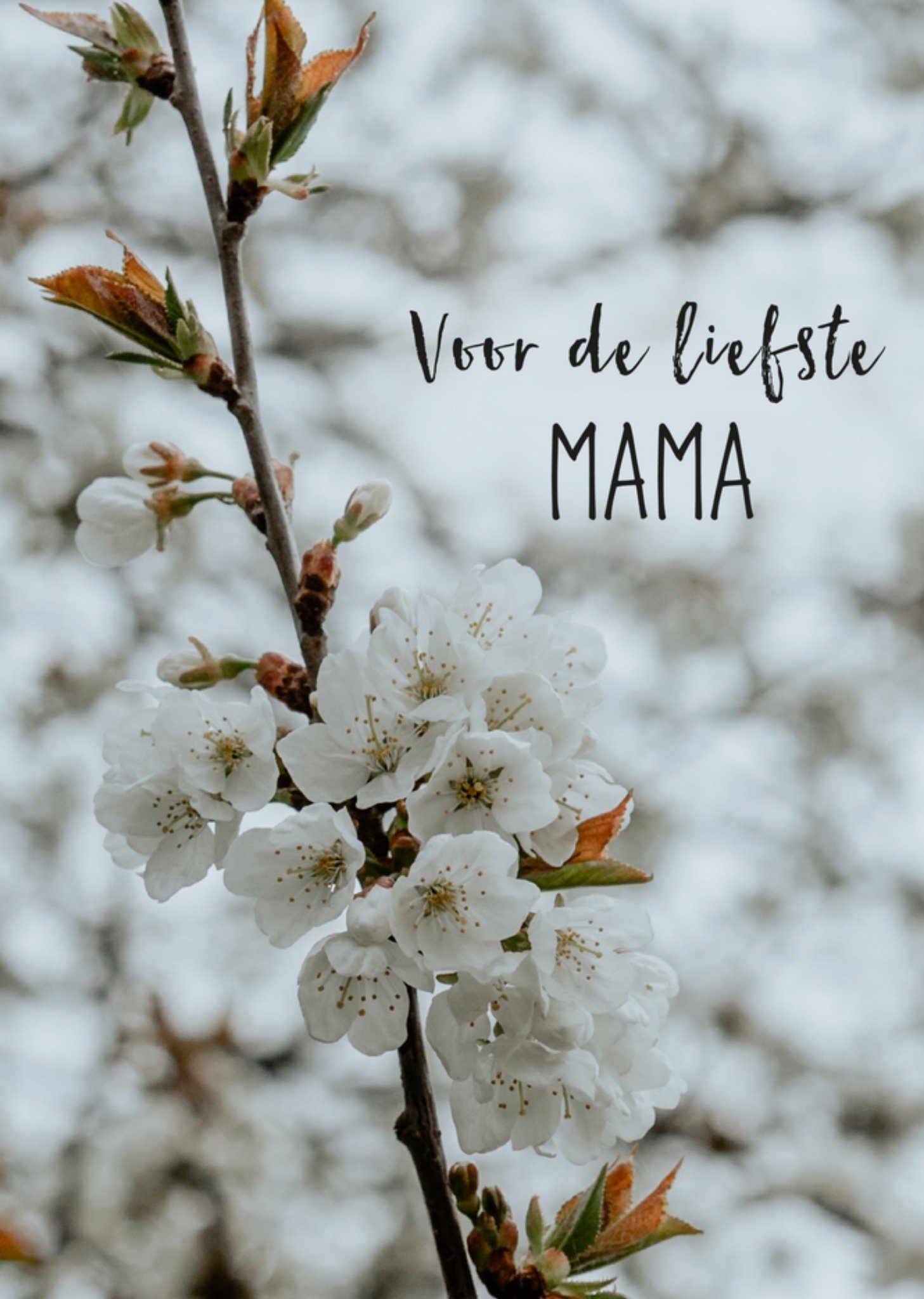 Zomaarkaart liefste mama fotografie Greetz