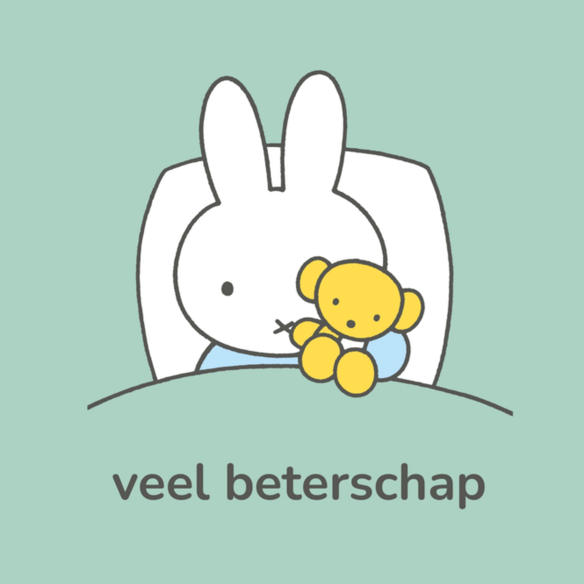 Miffy Beterschapskaart Veel beterschap Vierkante Kaart Nijntje
