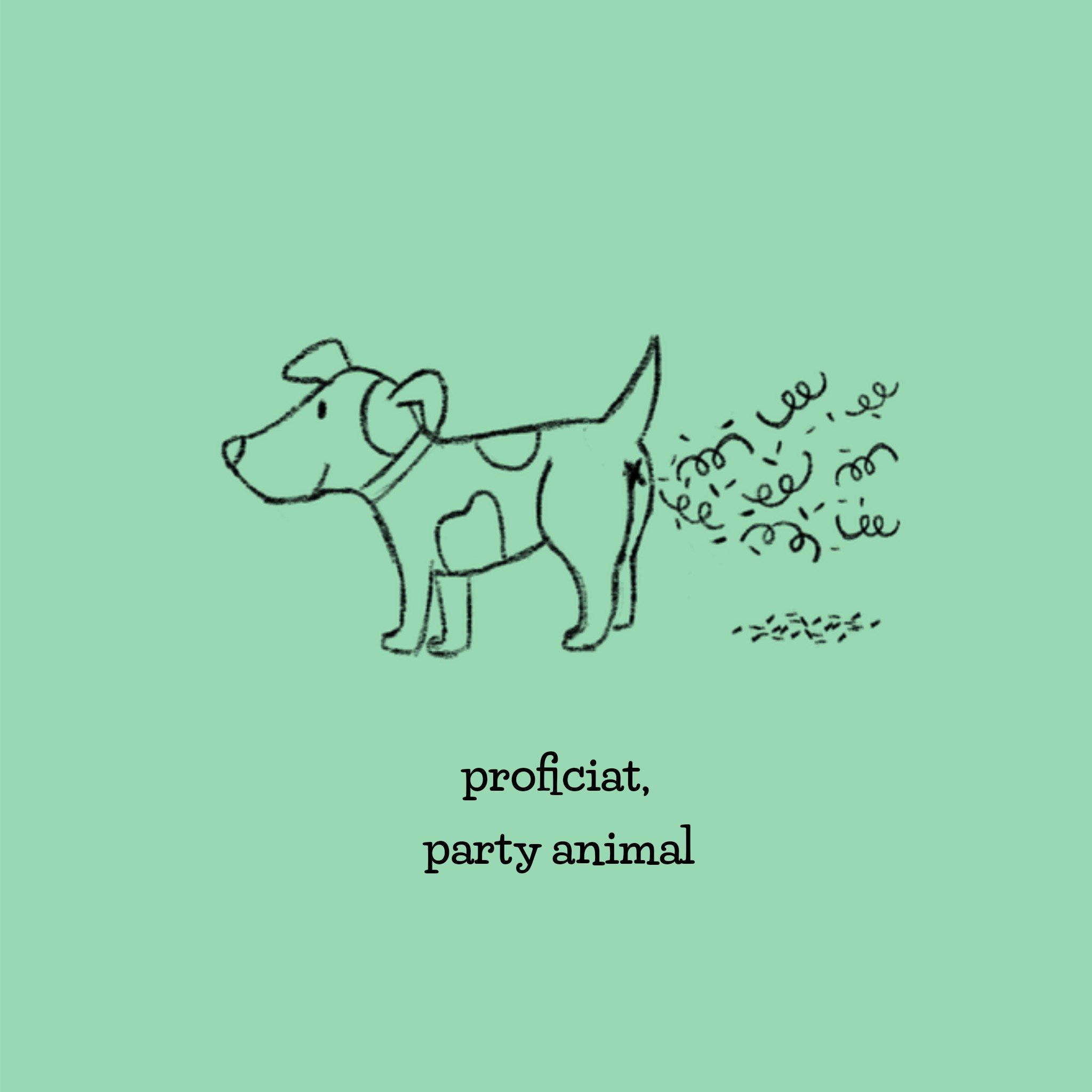 Felicitatiekaart - hond - party animal