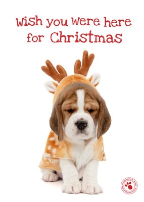 Studio Pets Wish You Were Here For Christmas Puppy Kerstkaart