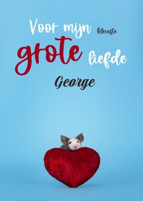 Voor Mijn Kleinste Grote Liefde Muis Met Hart Kaart