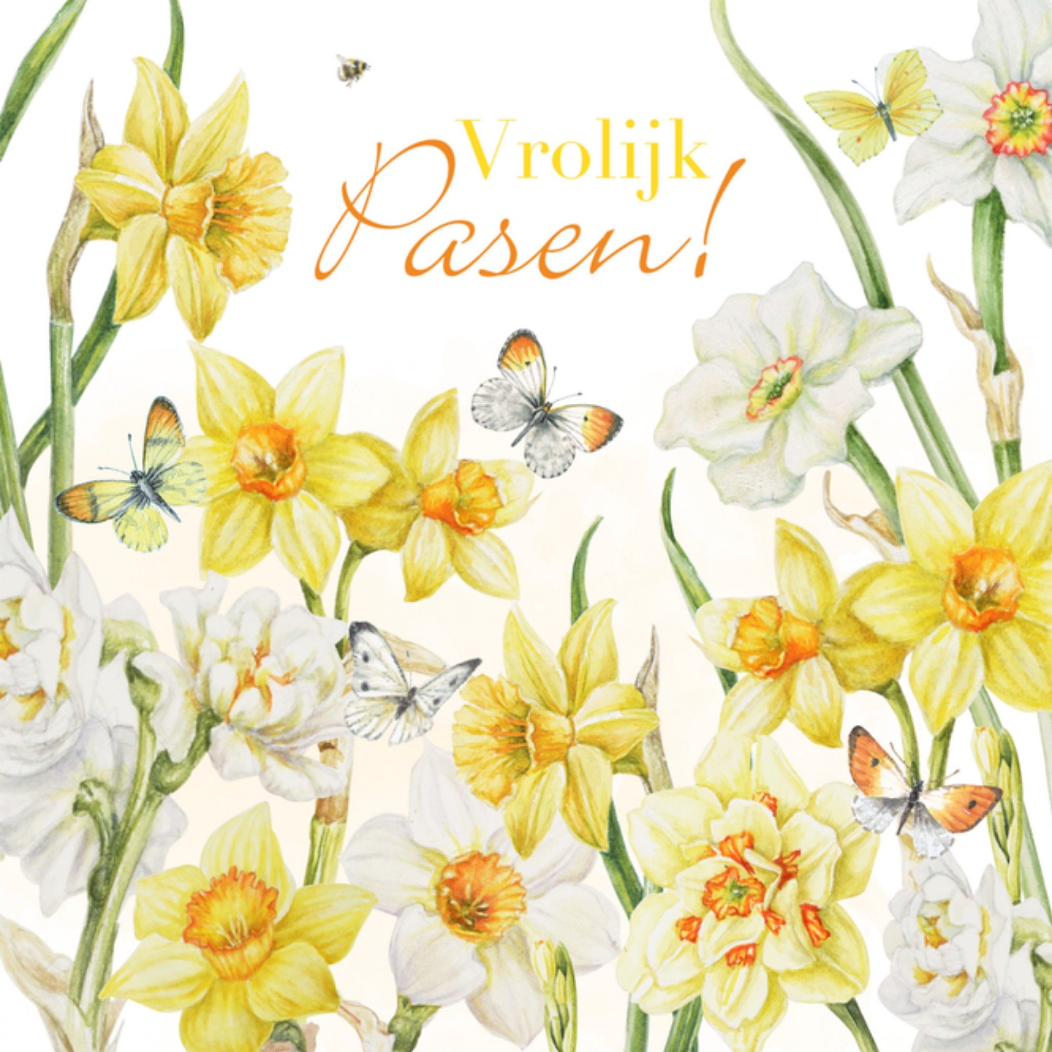Paaskaart Narcissen Vierkante Kaart Janneke Brinkman