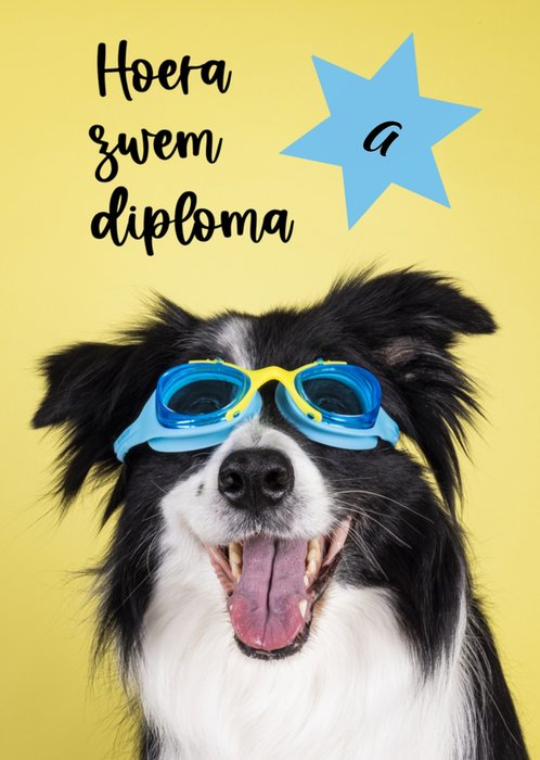 Catchy Images | Zwemdiploma kaart | aanpasbaar