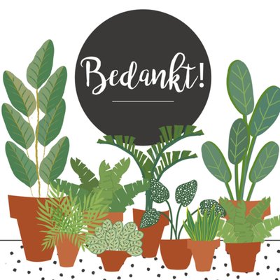 Bedankt kaartje | Planten | Wit | Groen | Zwart