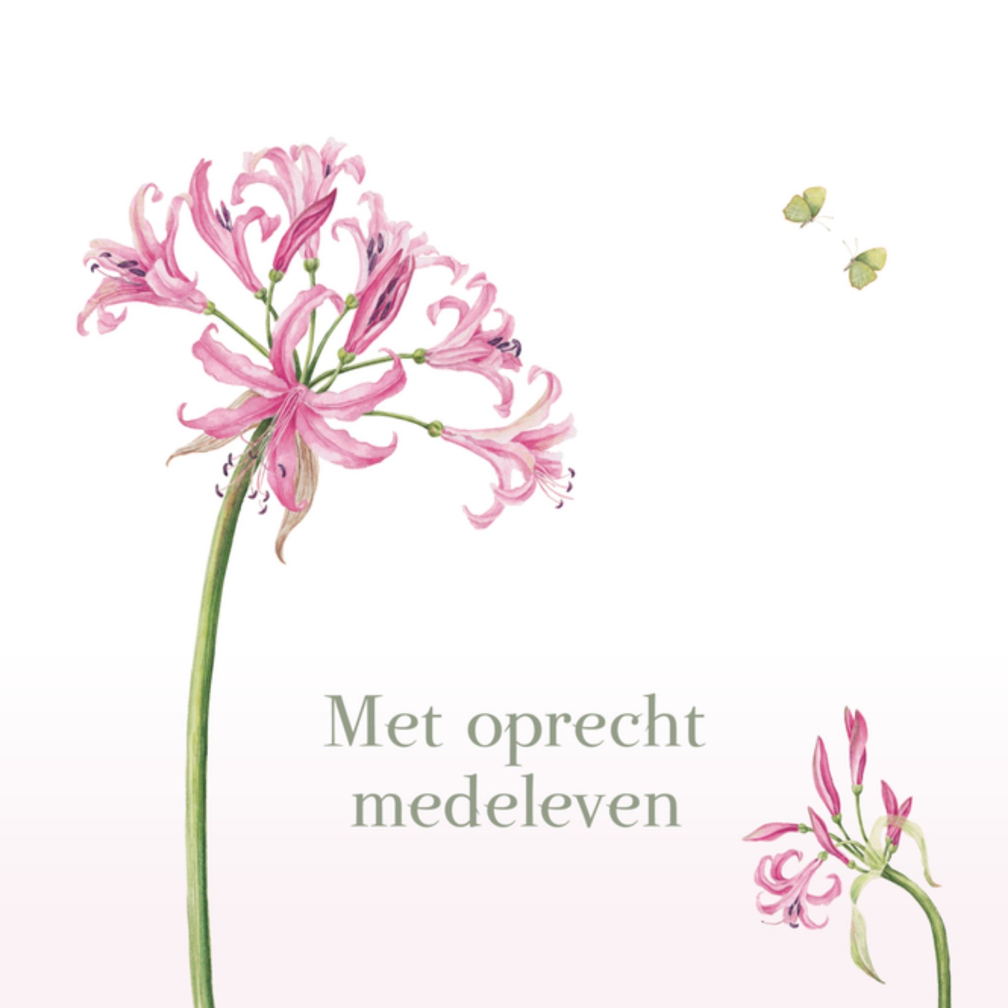 Condoleancekaart Bloem Vierkante Kaart Janneke Brinkman