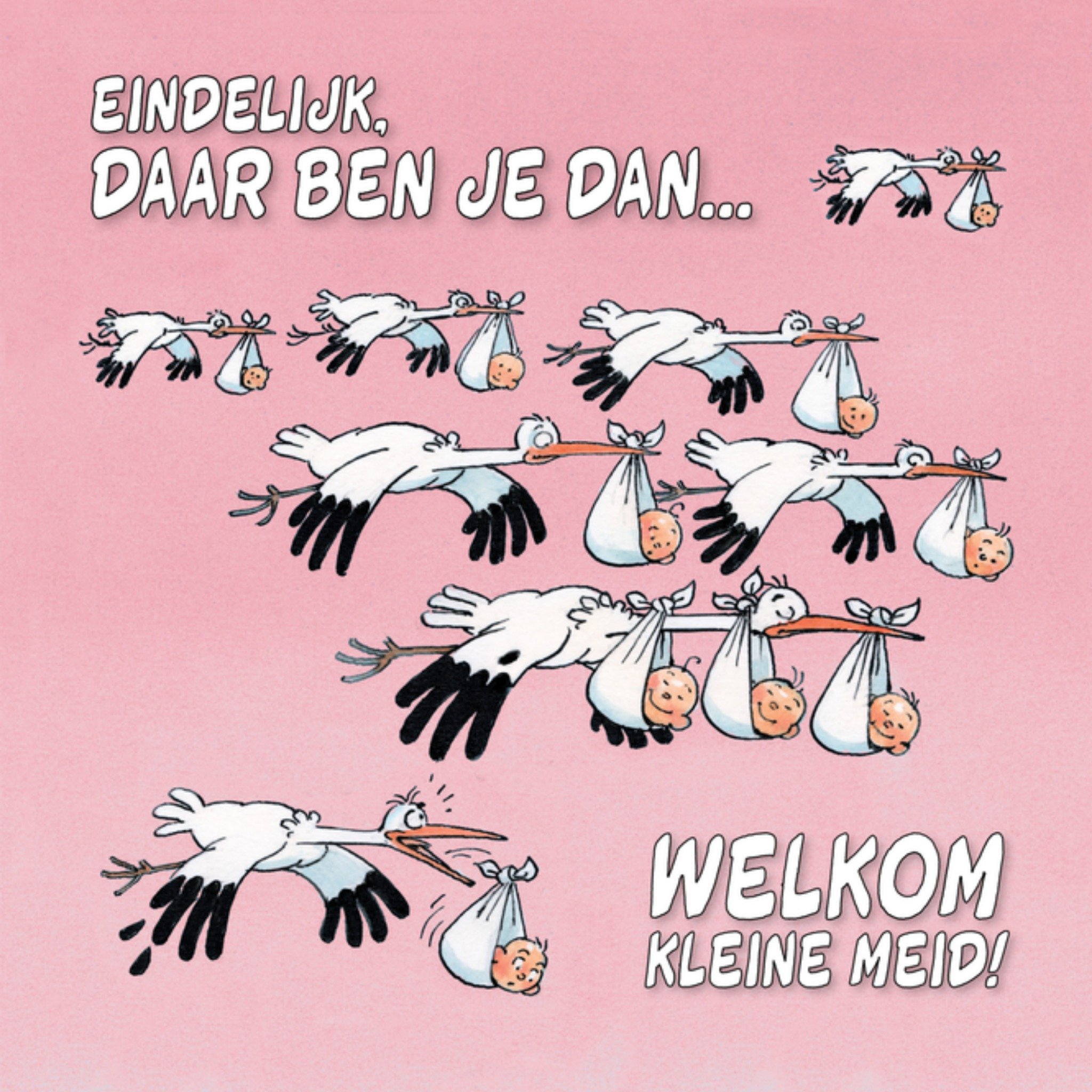 Geboortekaart Ooievaar Vierkante Kaart Jan van Haasteren