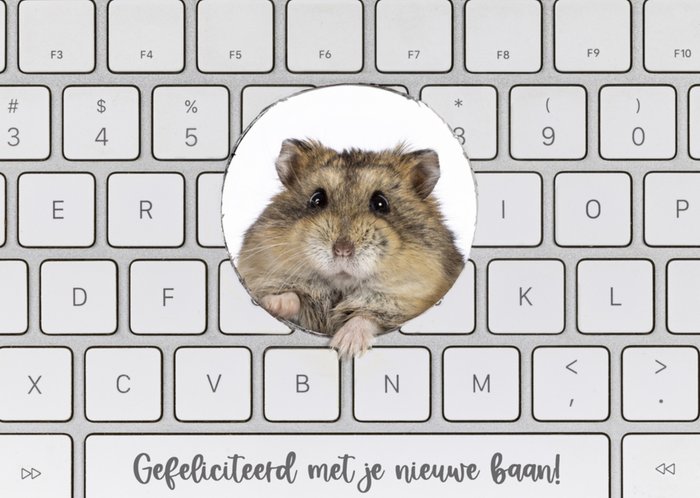 Catchy Images | Nieuwe baan kaart | hamster