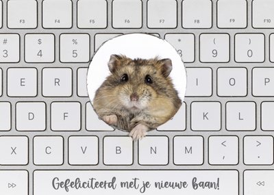 Catchy Images | Nieuwe baan kaart | hamster