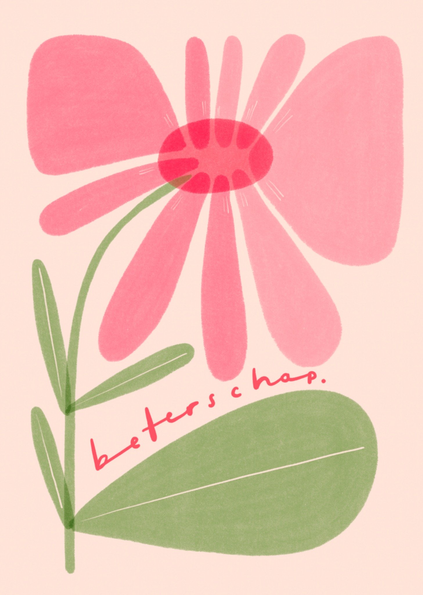 Beterschapskaart Beterschap Pink Flower Kaart Gozde