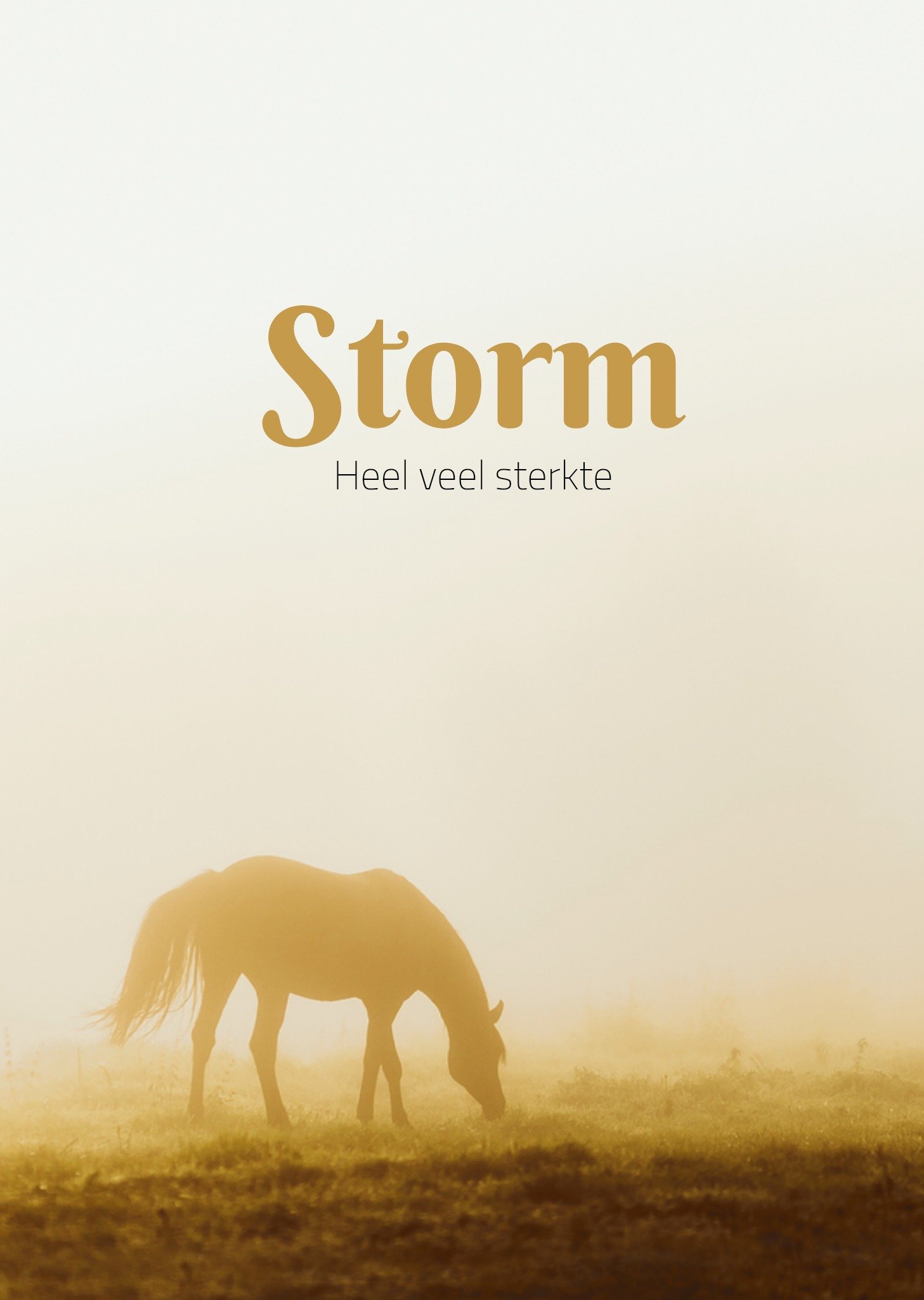 Condoleancekaart met aanpasbare naam Kaart TMS