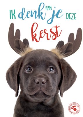 Studio Pets | Kerstkaart | Denken aan