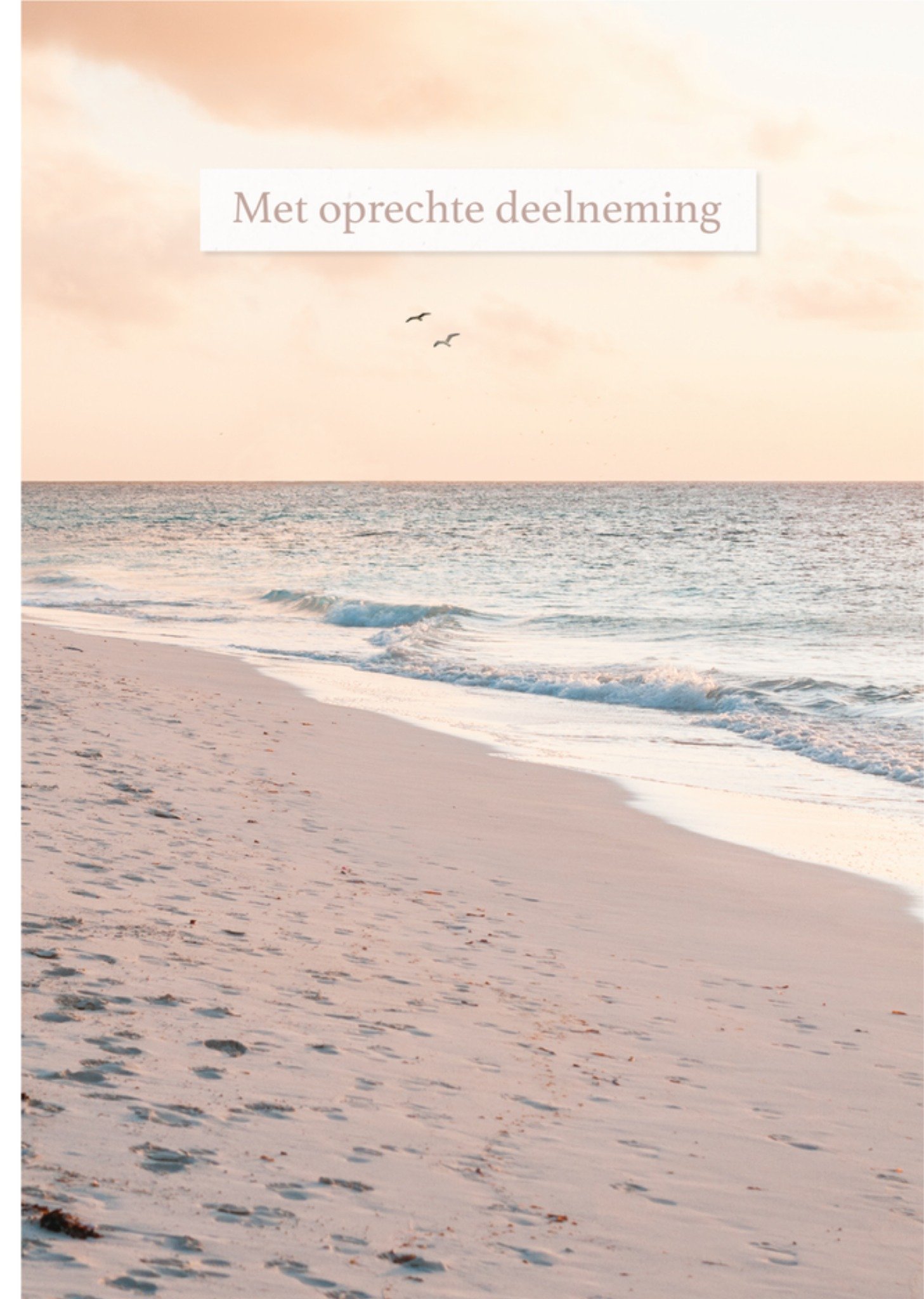 Condoleancekaart Het strand Fotografie Kaart Paperclip