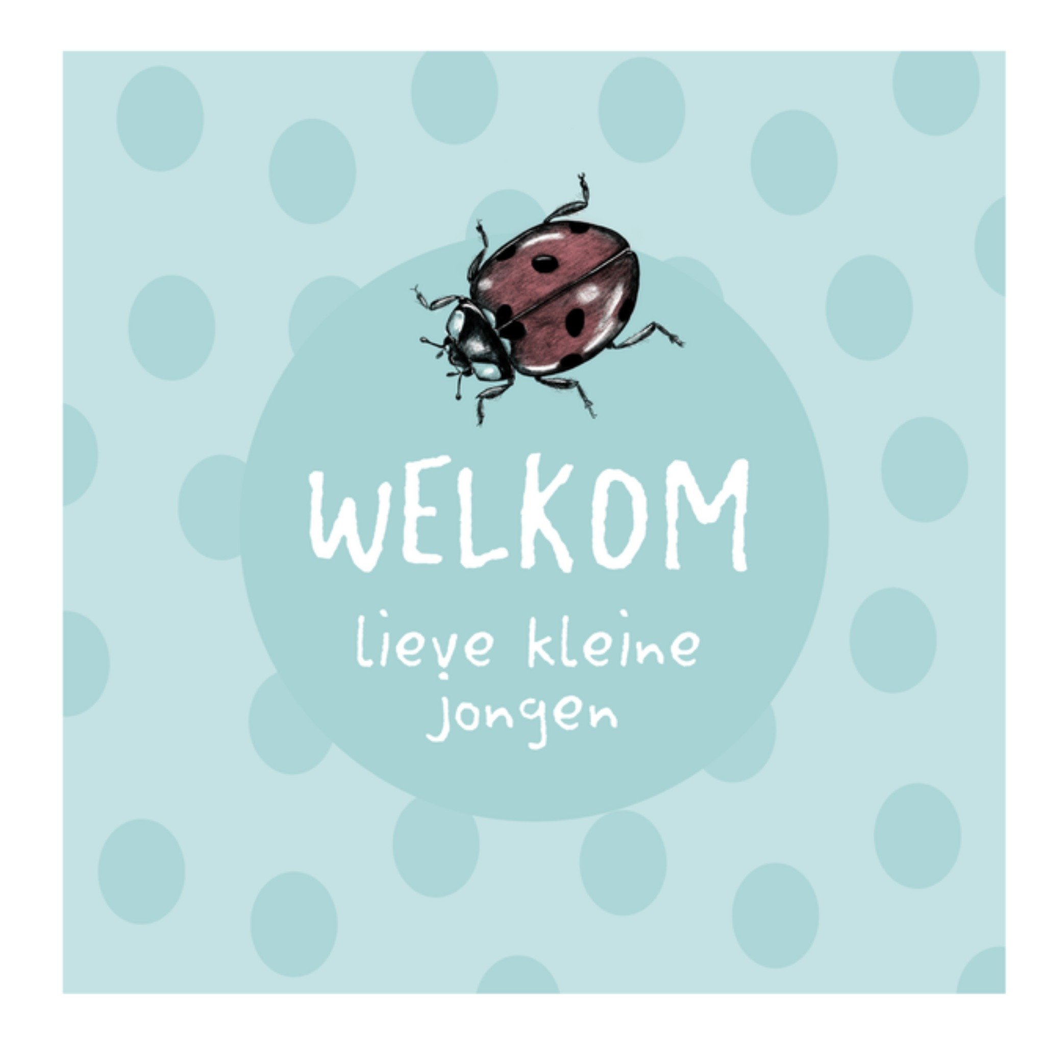 Greetz Geboortekaart jongetje Vierkant