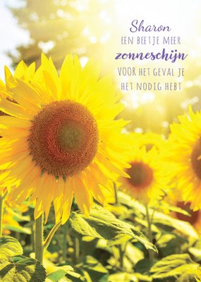 Een Beetje Meer Zonneschijn Zonnebloemen Sterkte Kaart