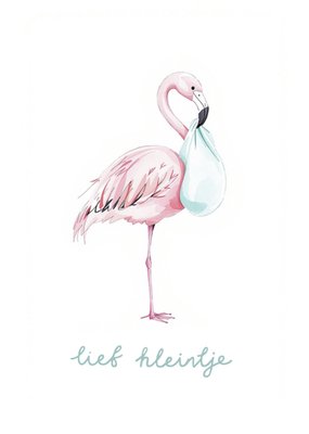 Greetz | Geboortekaart | Lief kleintje | Geïllustreerde flamingo