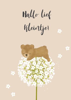 Tsjip | Geboortekaart | Hallo lief kleintje