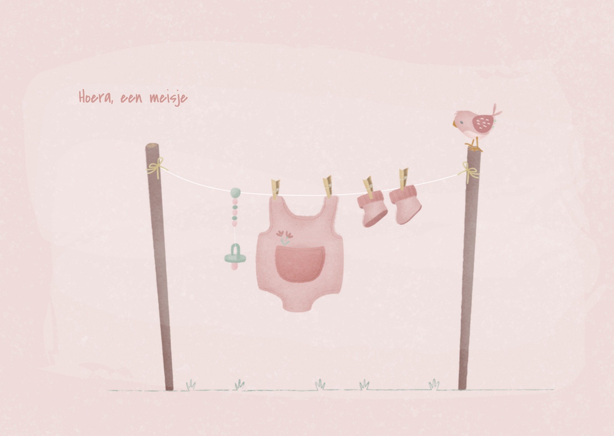 Geboortekaart Meisje Waslijn Kaart Little Dutch