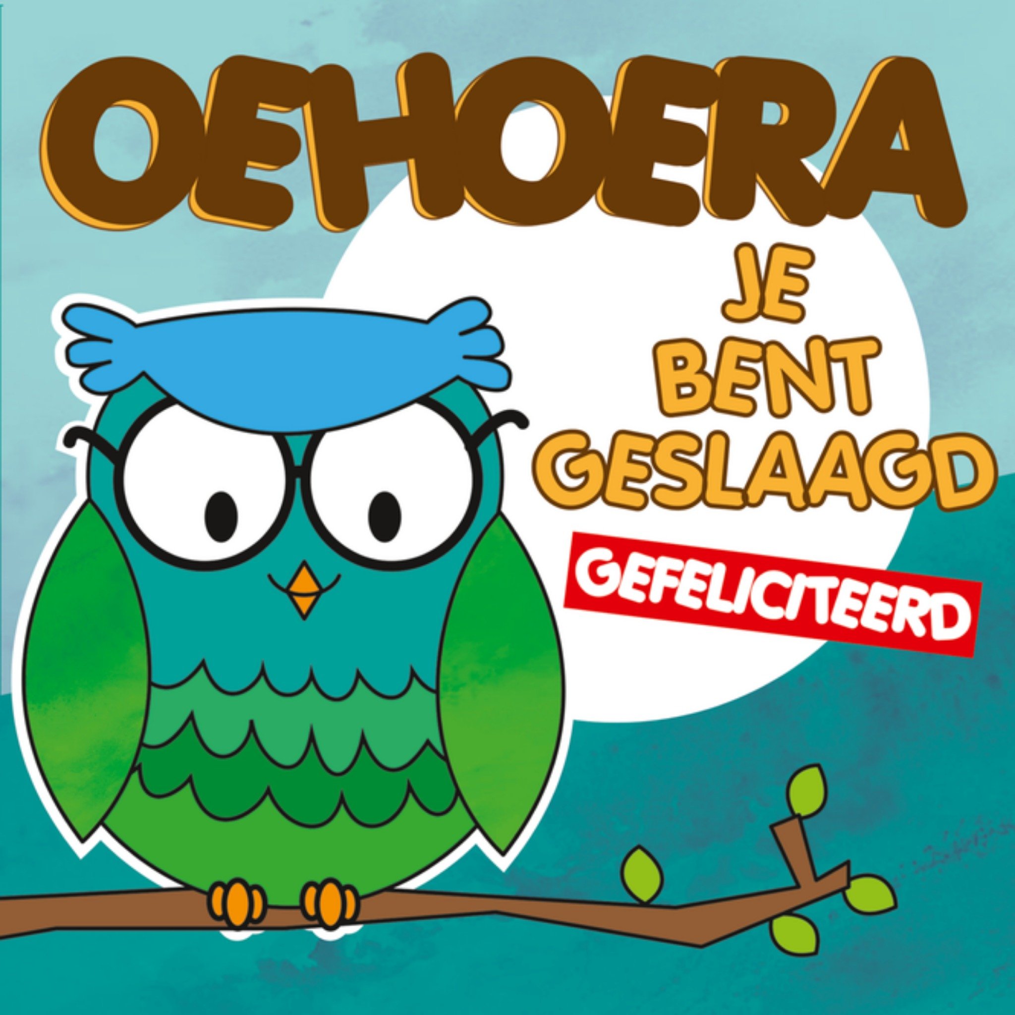 Geslaagd kaart uil Vierkante Kaart Paperclip