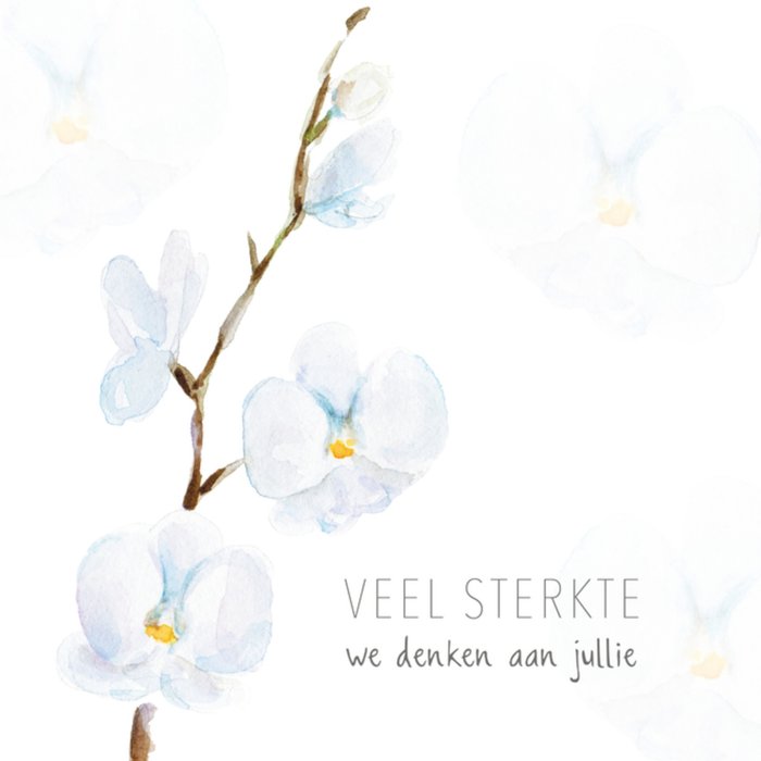 Michelle Dujardin | Condoleancekaart | Witte orchidee