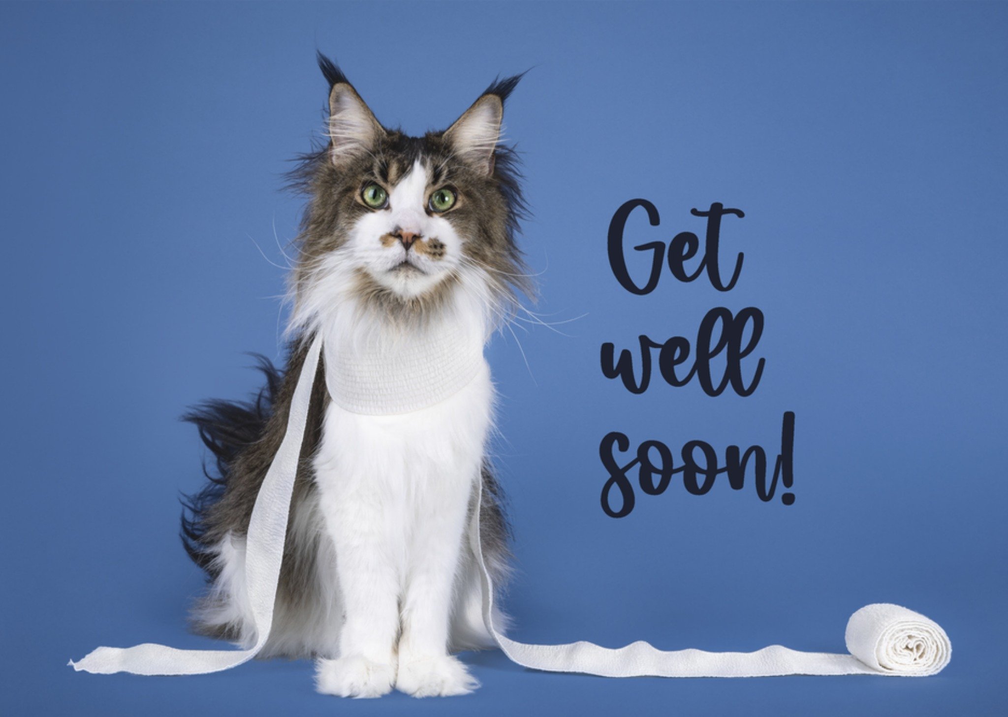 Beterschapskaart Lief Kaart Catchy Images