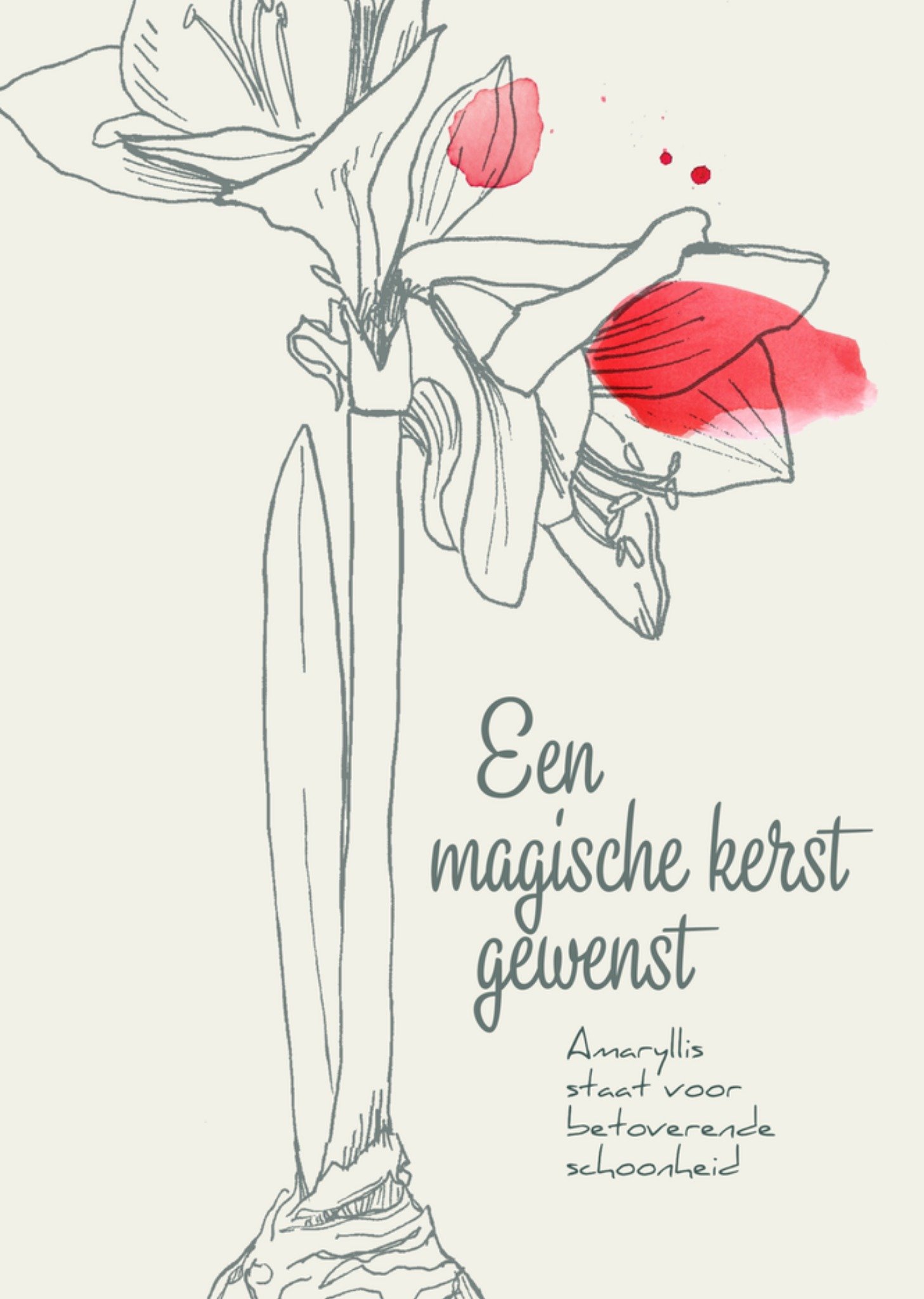 Kerstkaart Magische kerst Amaryllis Veer Moon