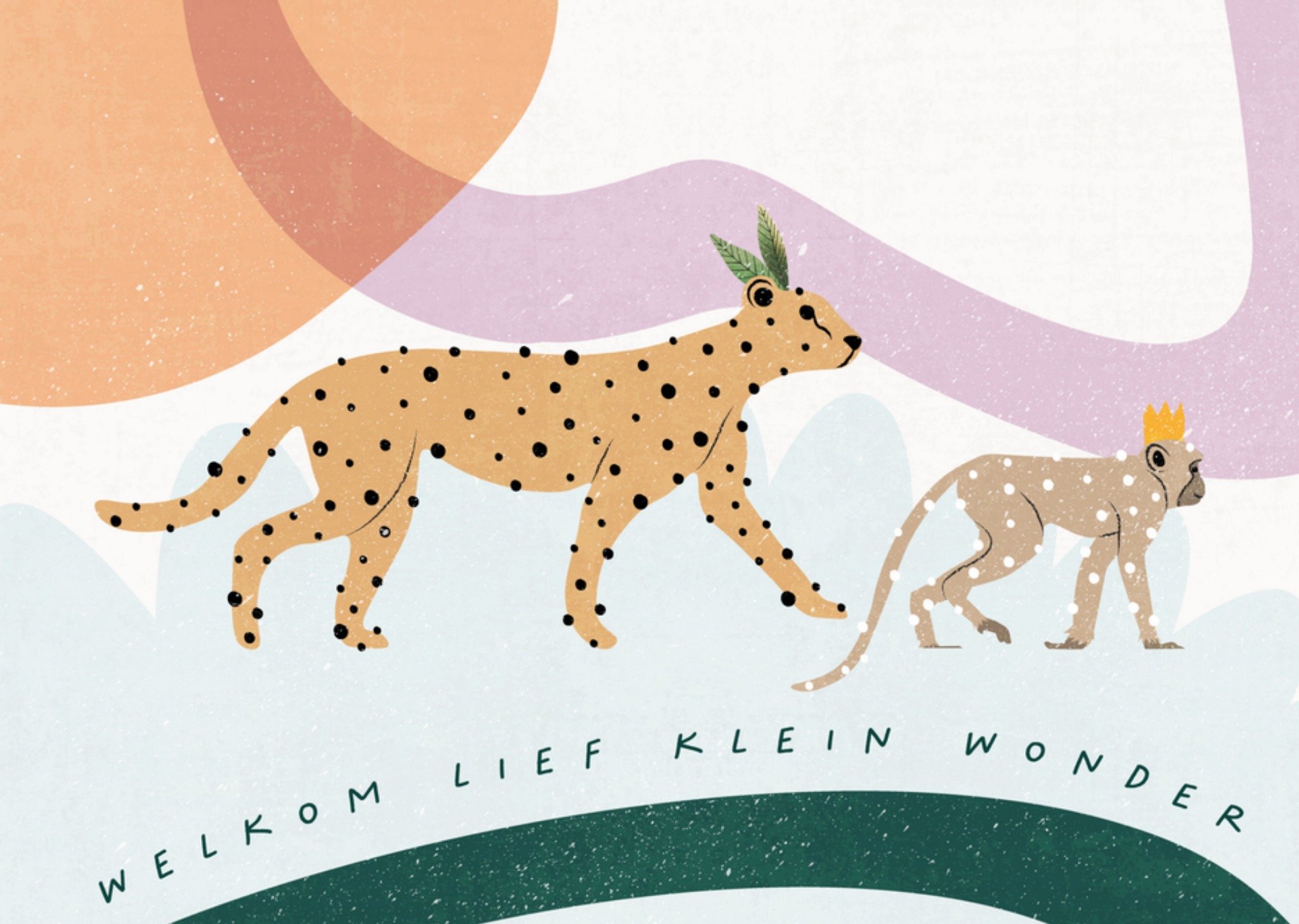 Geboortekaart lief klein wonder Kaart Melolelo