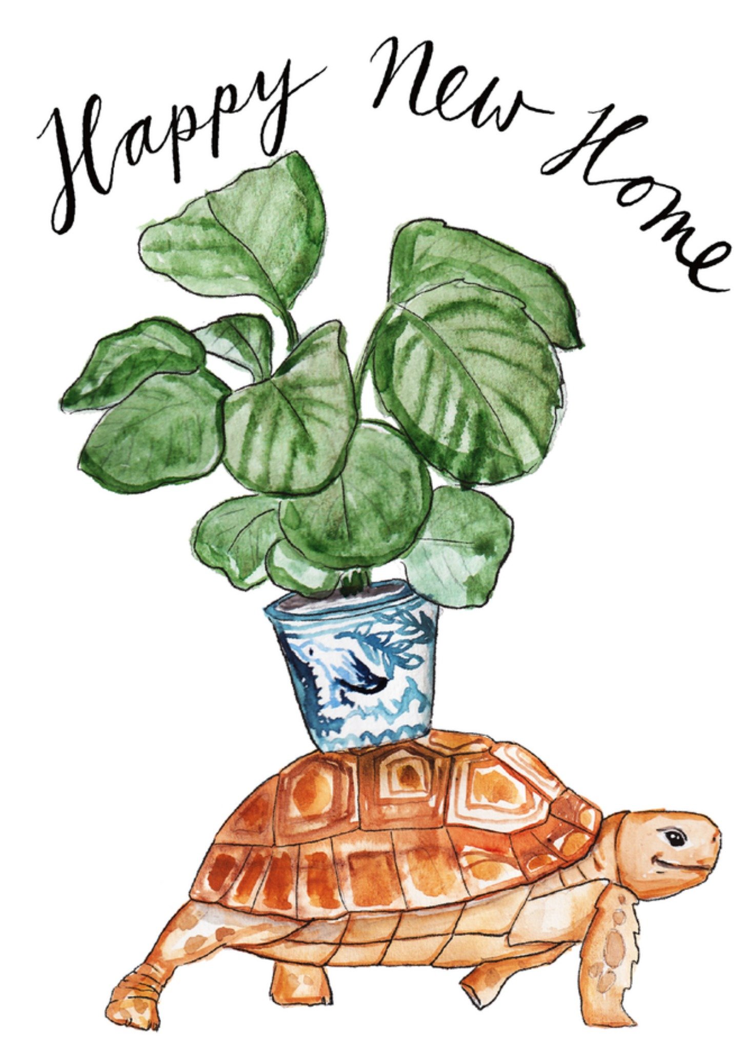 Marie Bodie Nieuwe woning kaart Schildpad Kaart Marie Bodié